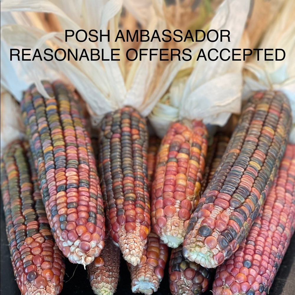 $10 minimum orders. Reasonable offers accepted! - Picture 9 of 15